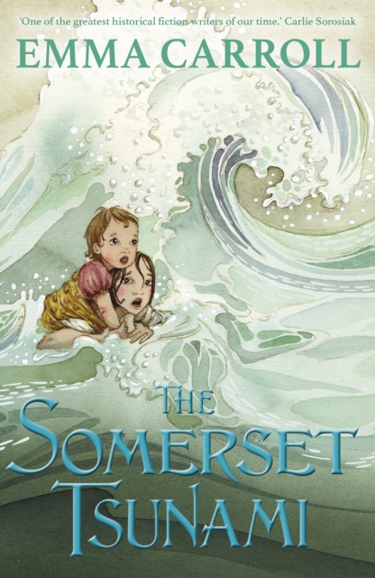 The Somerset Tsunami – Red Lion Books