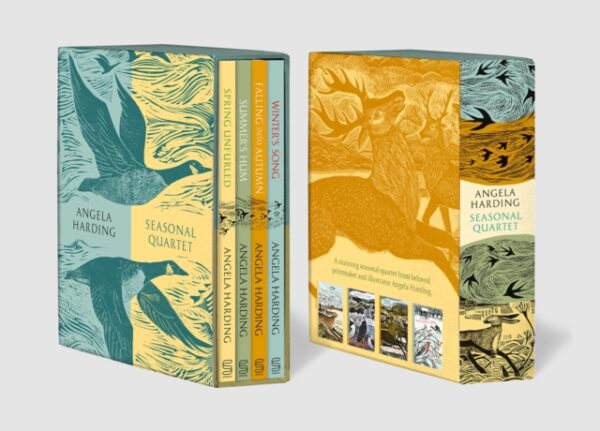 Angela Harding Seasonal Quartet Boxset : Includes Spring Unfurled, Summer’s Hum, Falling into Autumn and Winter’s Song